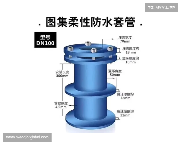 以防水套管为核心技术探讨的建筑结构防水解决方案与应用分析 以防水套管为核心技术探讨的建筑结构防水解决方案与应用分析